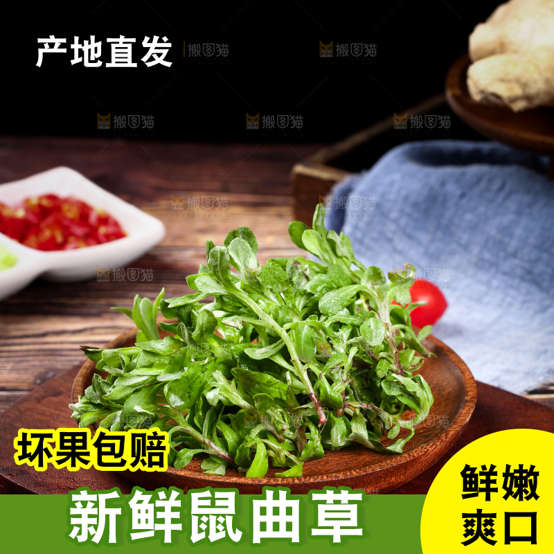 盘子里装着鼠曲草