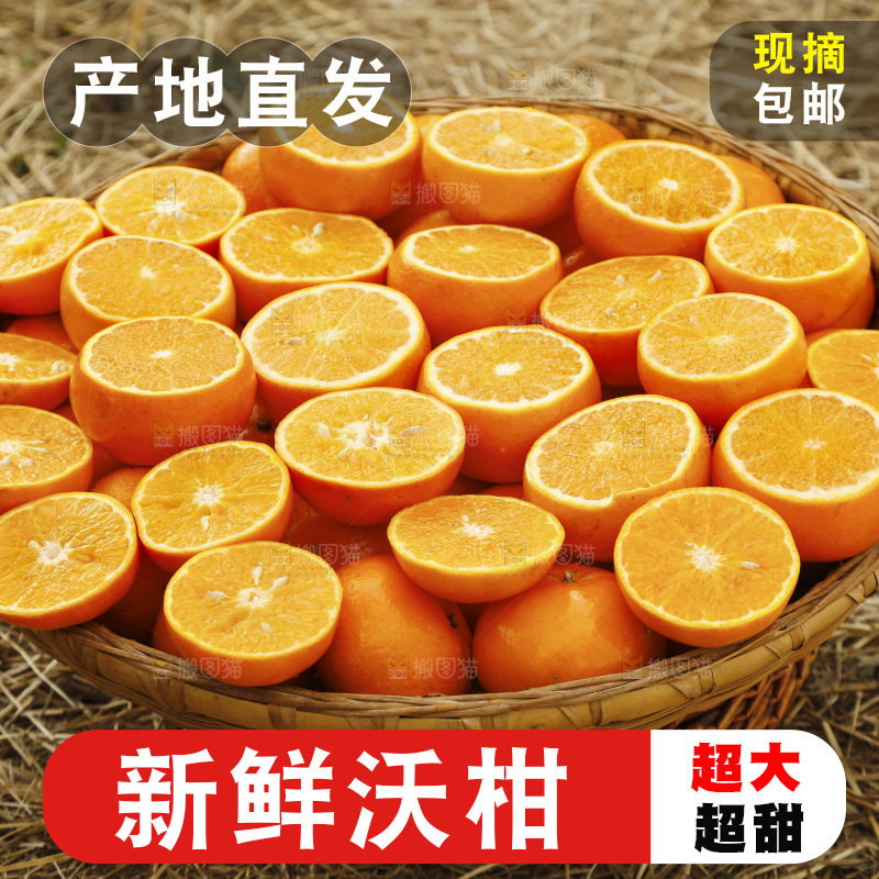篮子里装着沃柑果肉