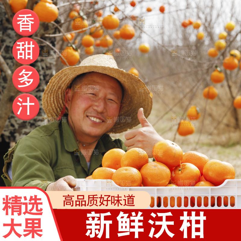 果园农民抱着一框武鸣沃柑