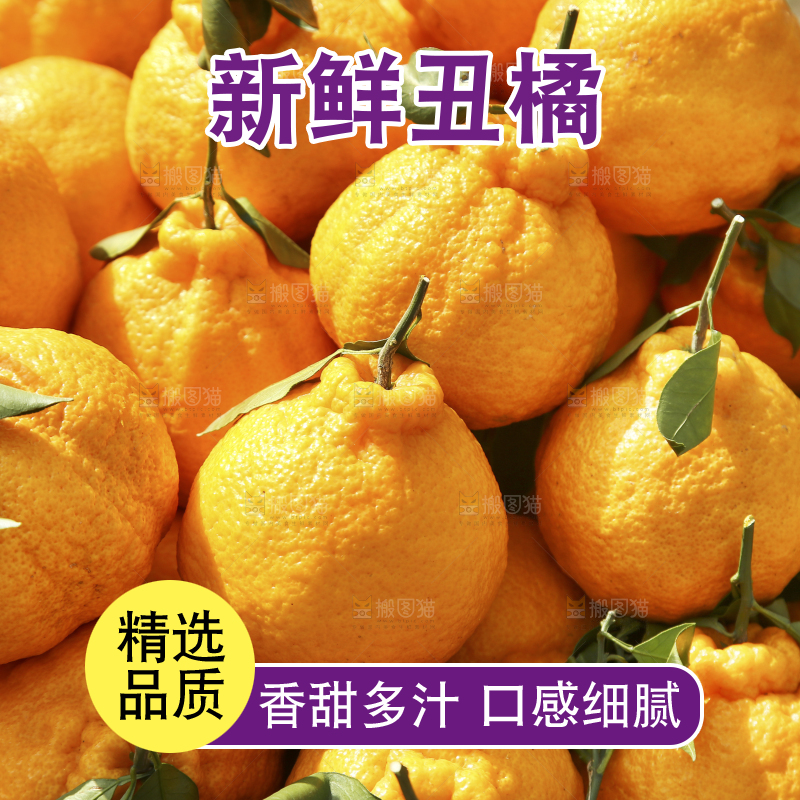 篮子里装着不知火丑橘