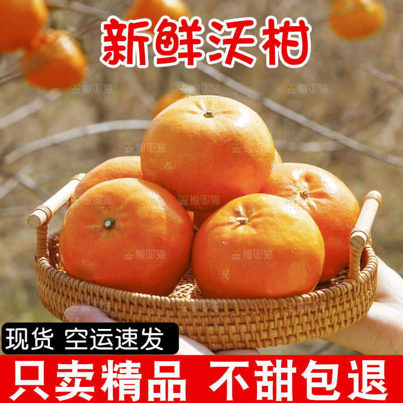 手里端着一篮新鲜沃柑