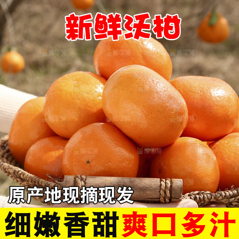 手里端着一篮广西武鸣沃柑