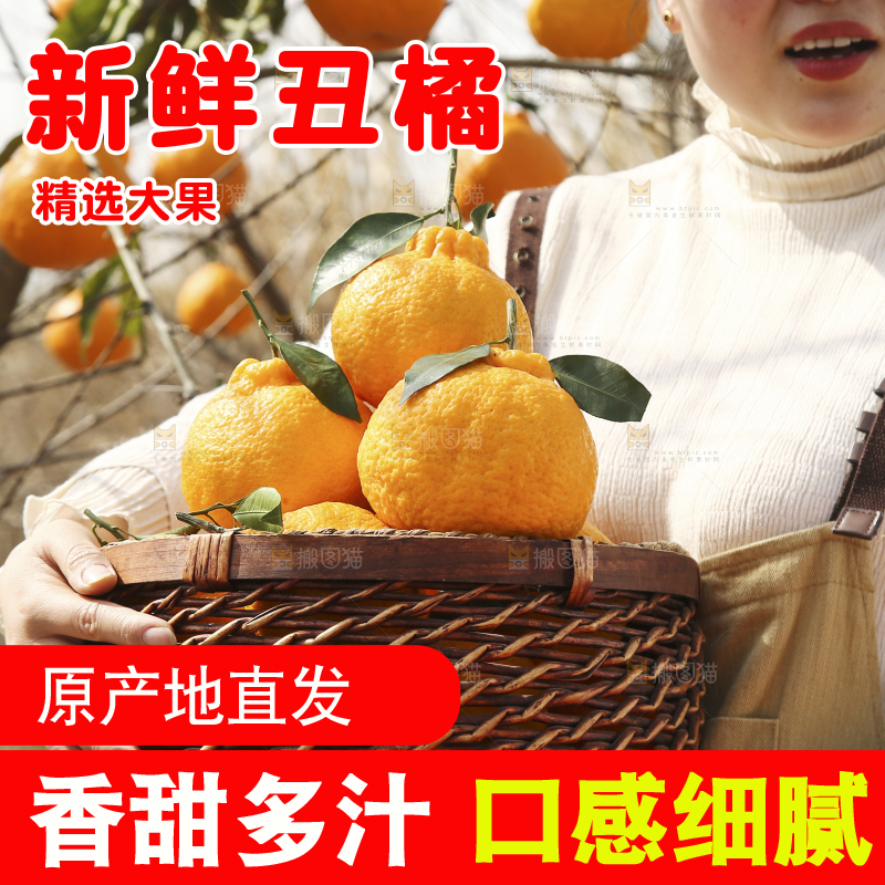 手里抱着一篮四川丑橘
