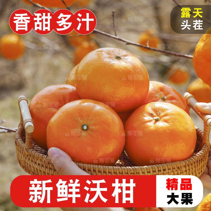 手里端着一篮新鲜沃柑