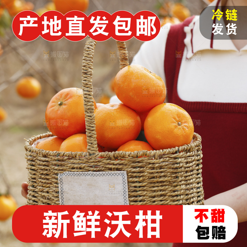 手里端着一篮广西武鸣沃柑