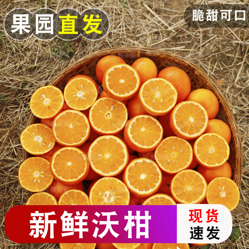篮子里装着沃柑果肉