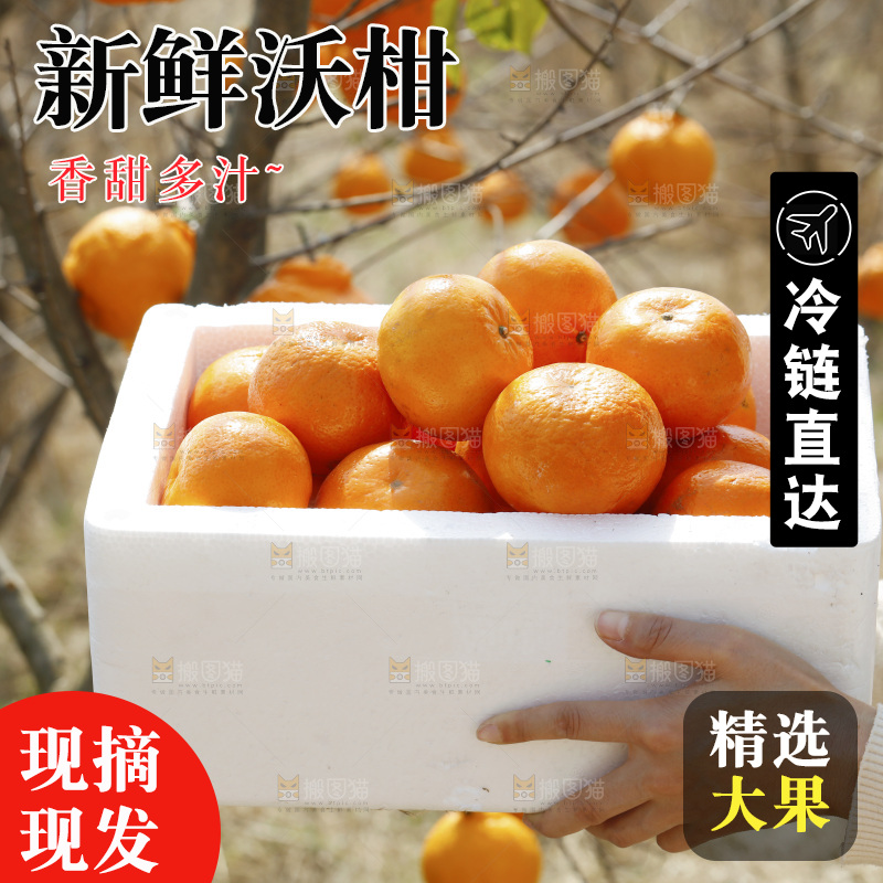 手里端着一箱武鸣沃柑