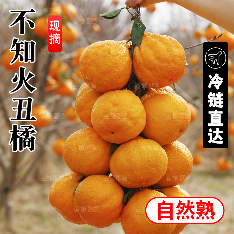 手里拿着一串丑橘