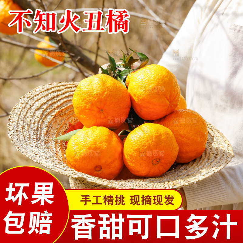 草帽子里放着新鲜丑橘