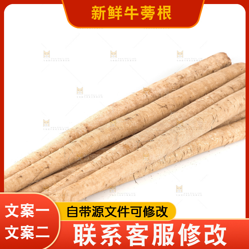 白底上的牛蒡根