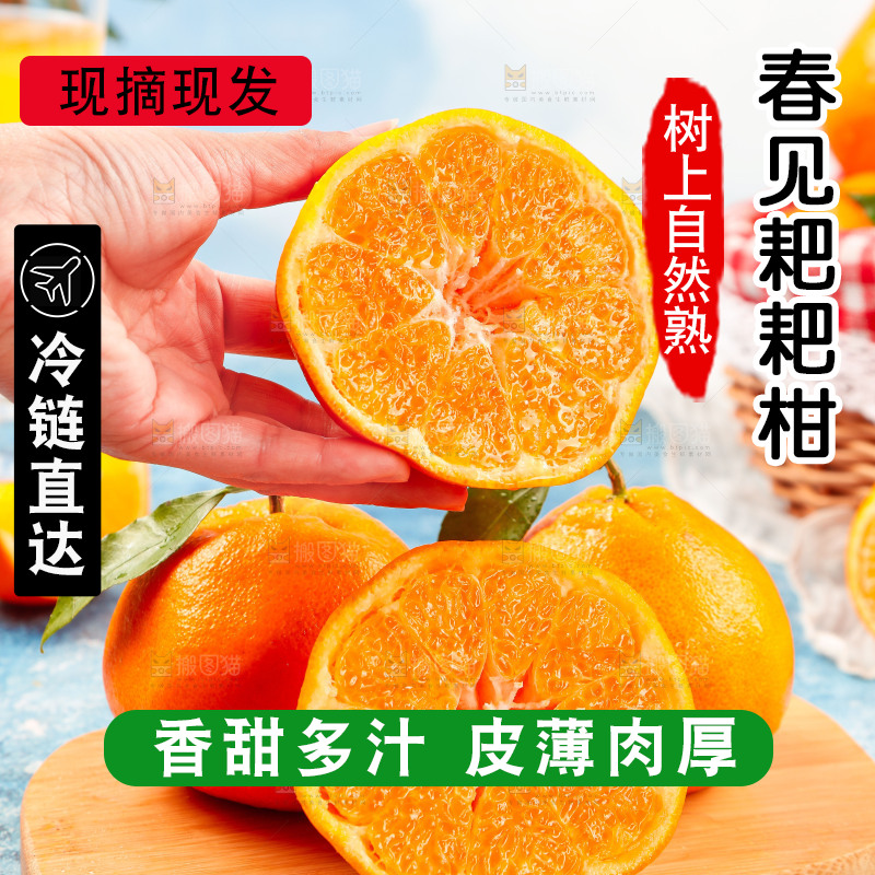 手里拿着切开的耙耙柑