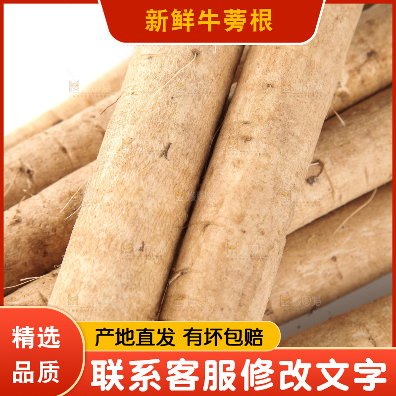 白底上放着一堆牛蒡根