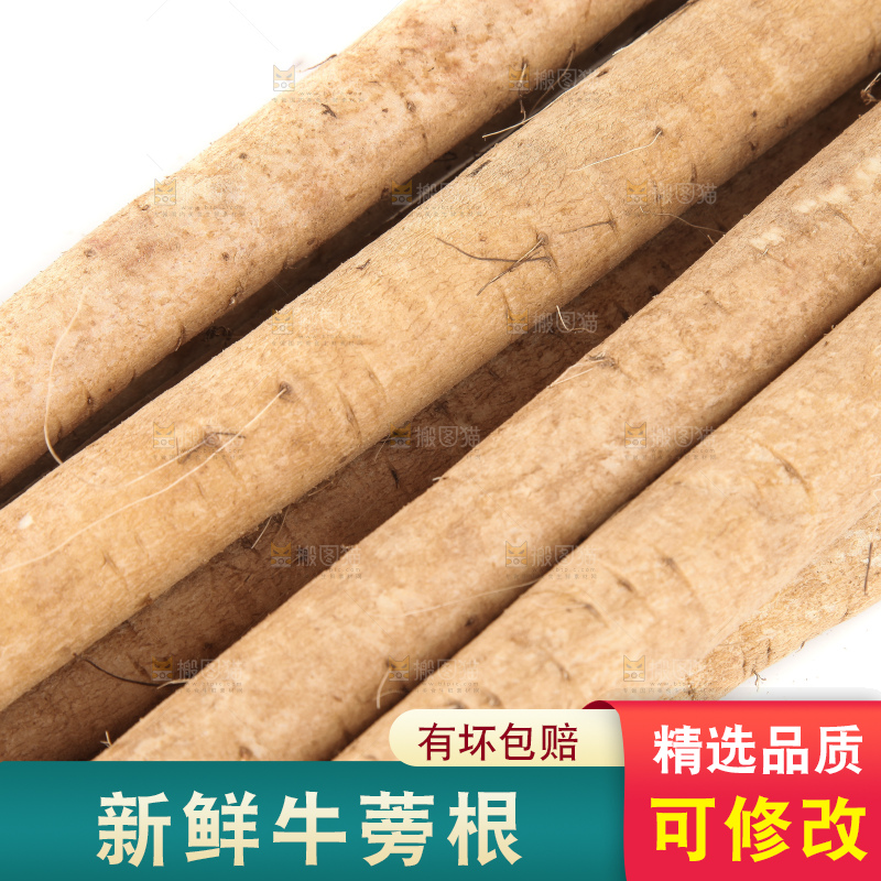 白底上的牛蒡根