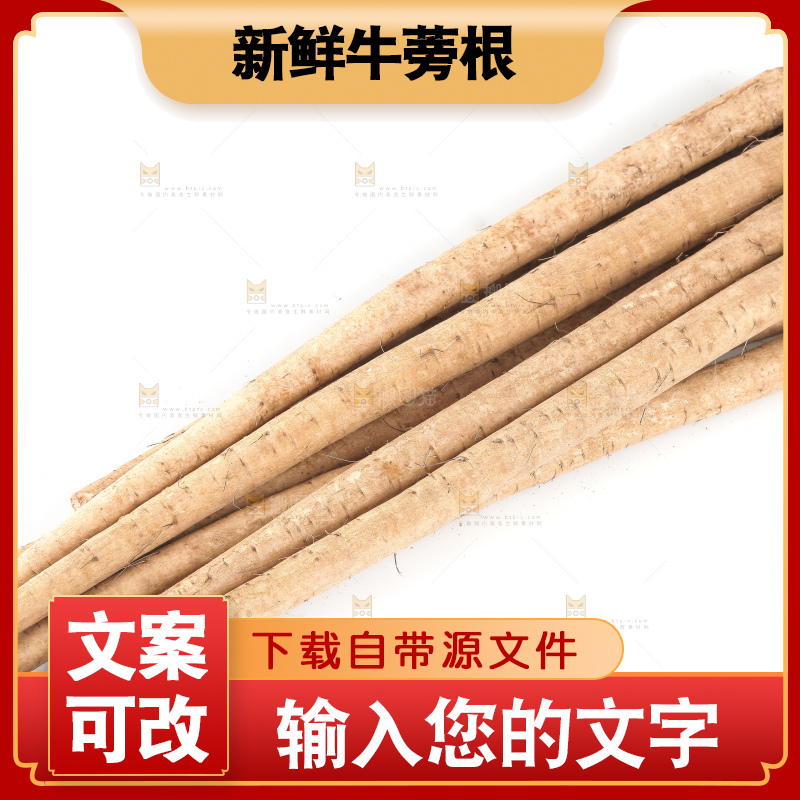 白底上的牛蒡根