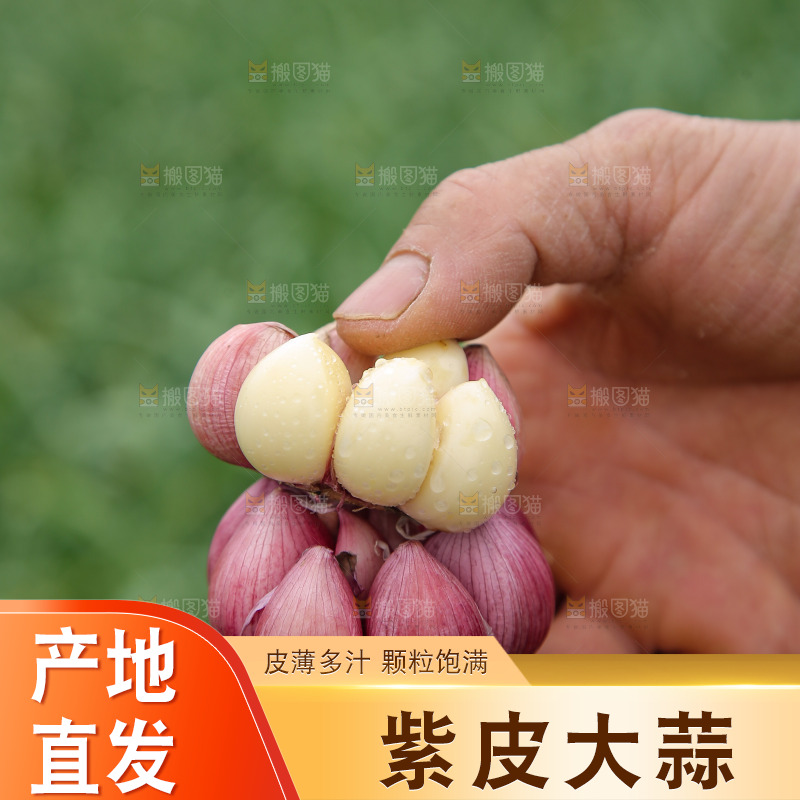 手里拿着多瓣蒜