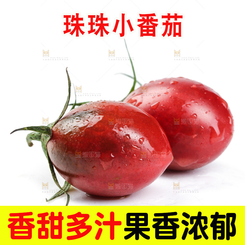 白底上的新鲜小番茄