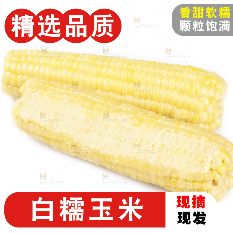 白底上的白糯玉米