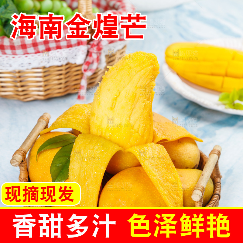 篮子里装着金煌水仙芒