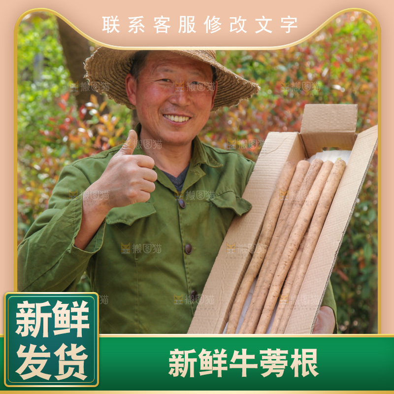 农民手里抱着一箱牛蒡根