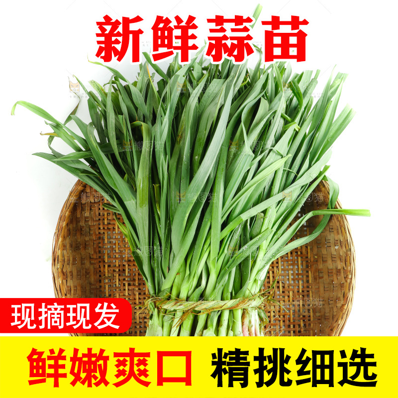 白底上放着一篮蒜苗