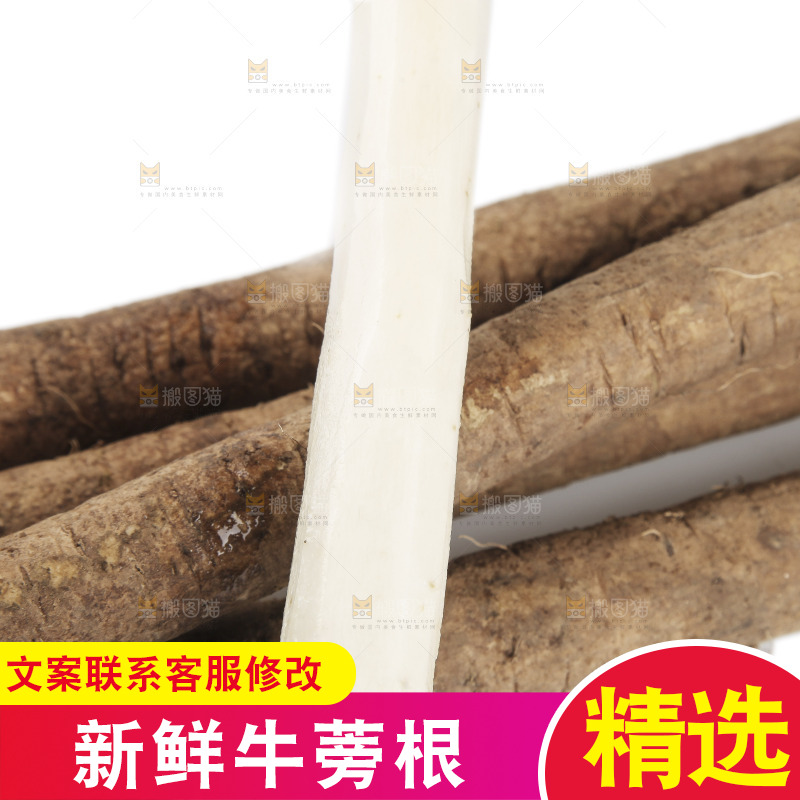 白底上放着鲜牛蒡