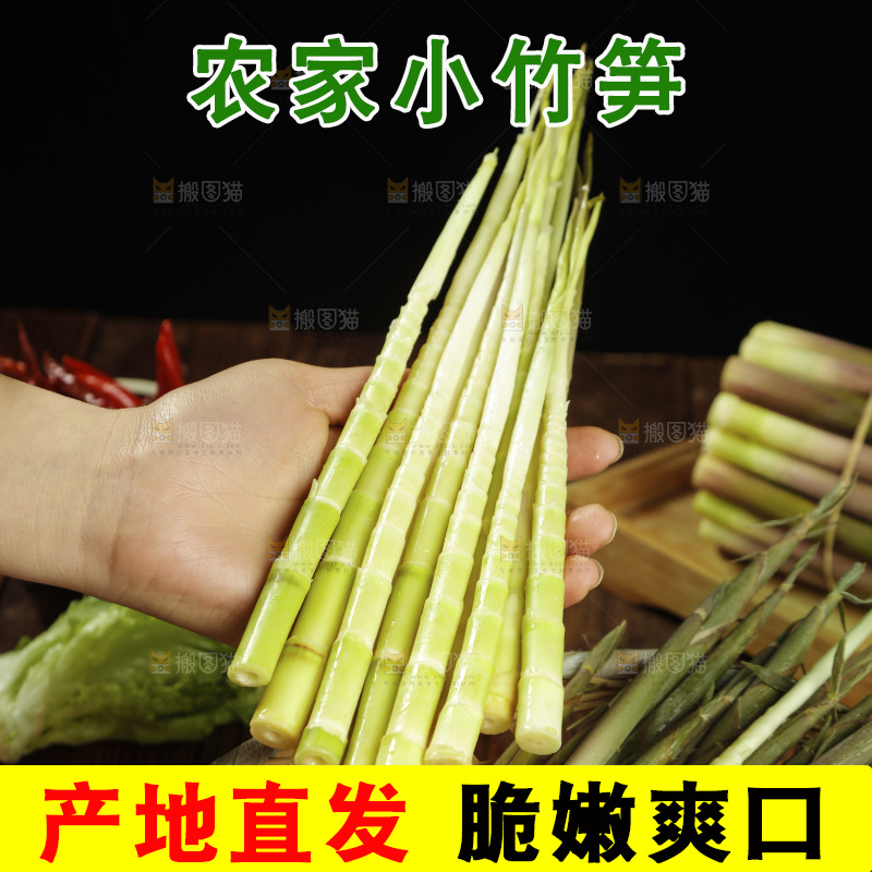手里拿着小竹笋