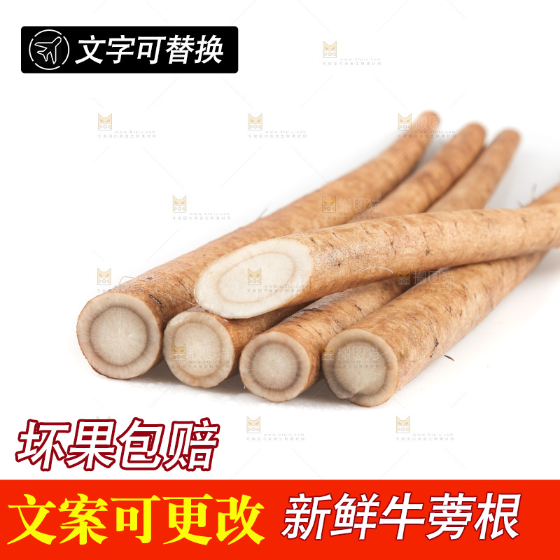 白底上放着鲜牛蒡