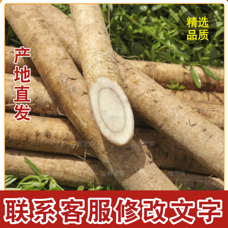 地上放着牛蒡根