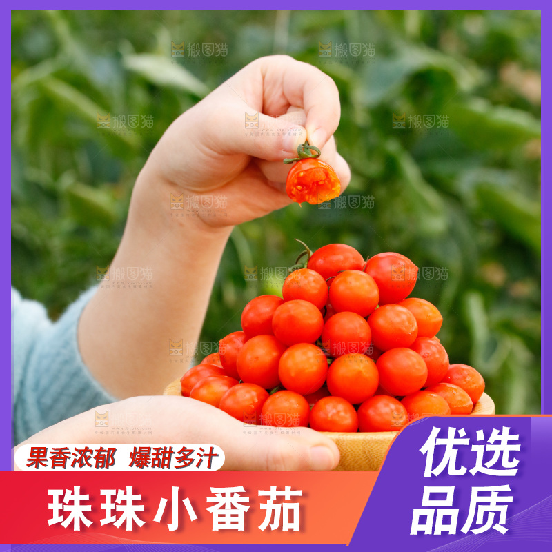 手里端着一盘珠珠小番茄