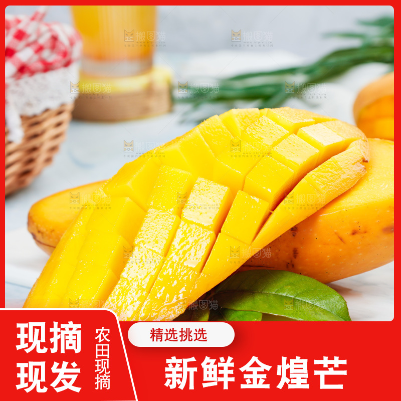 石板上放着新鲜金煌芒