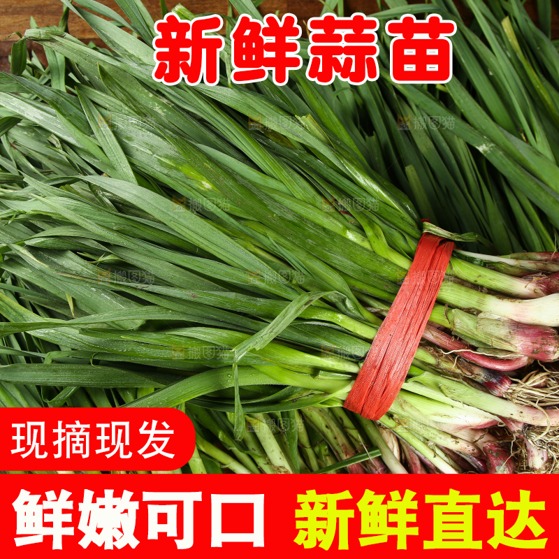 一堆大蒜苗