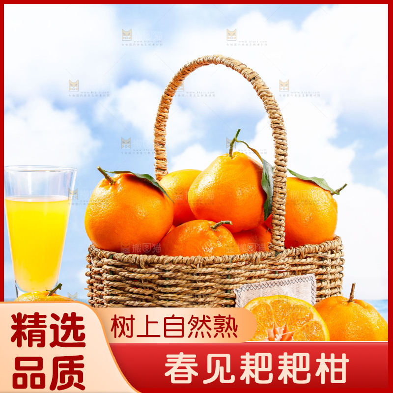 篮子里装着春见耙耙柑