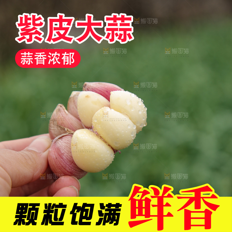 手里拿着多瓣蒜