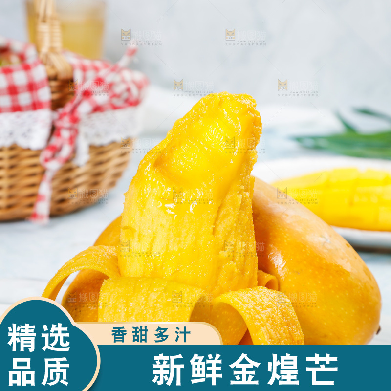 白石板上的水仙芒