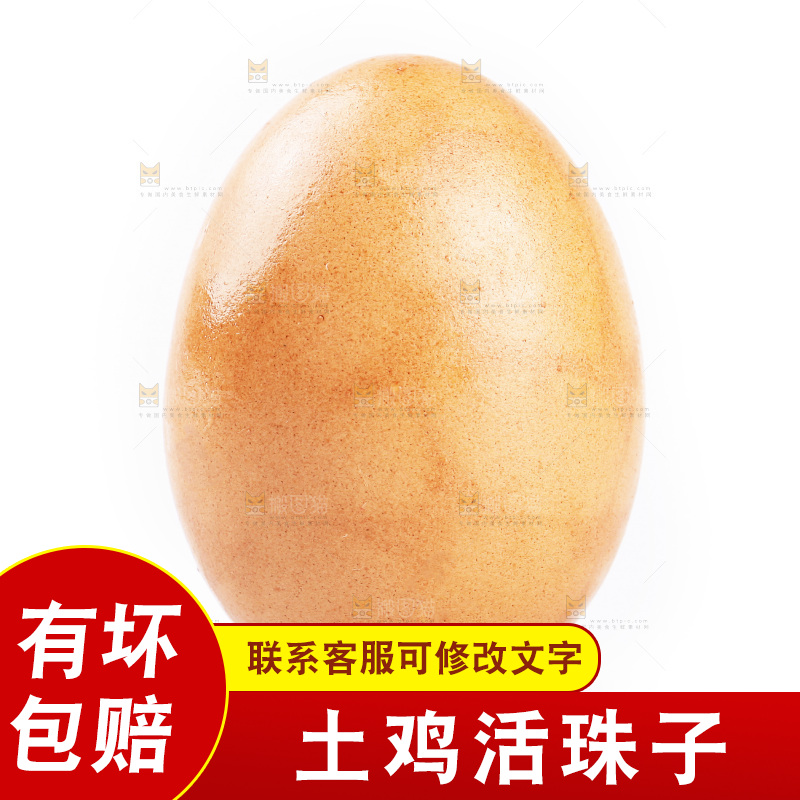 白底上放着土鸡蛋活珠子