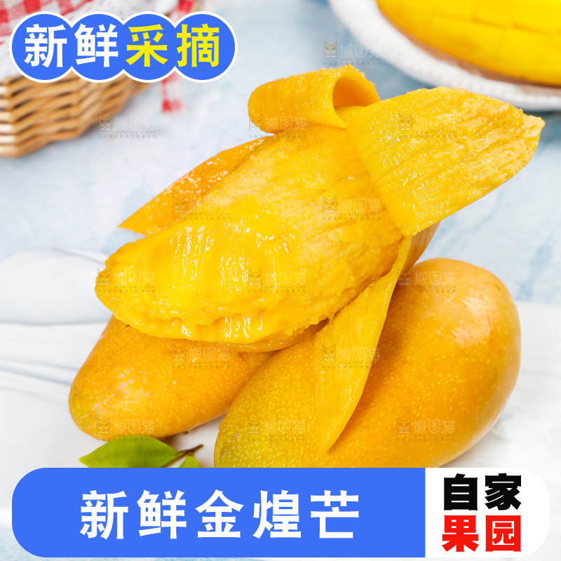 白石板上的水仙芒