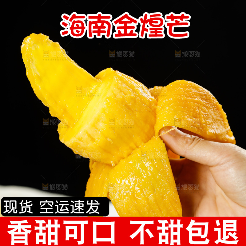 手里拿着金煌水仙芒