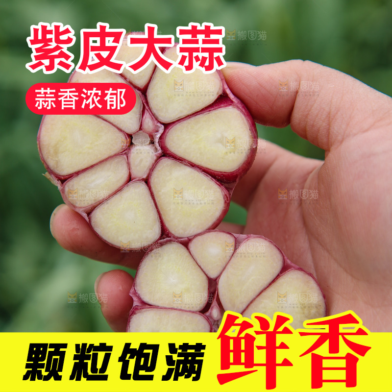 切面的多瓣蒜
