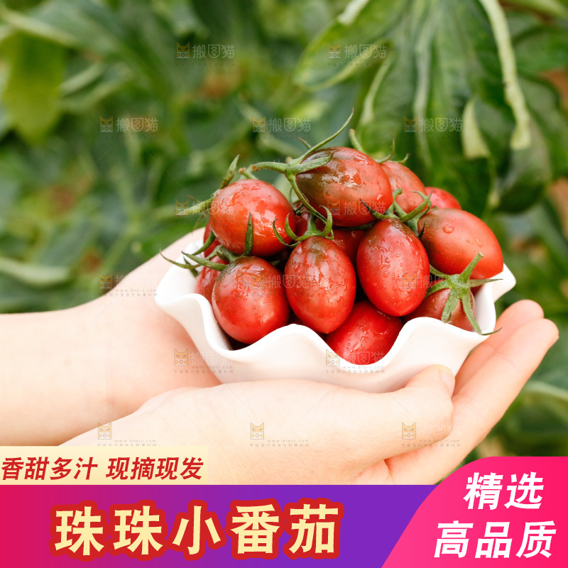 手里拿着紫葡萄小番茄