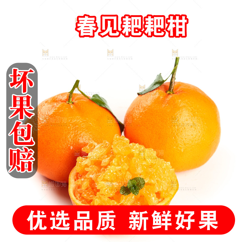 白底上的耙耙柑果肉