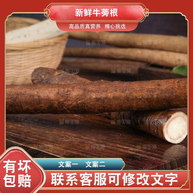 木底上的黄金牛蒡根