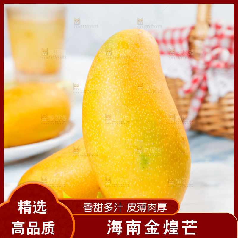 白石板上的水仙芒