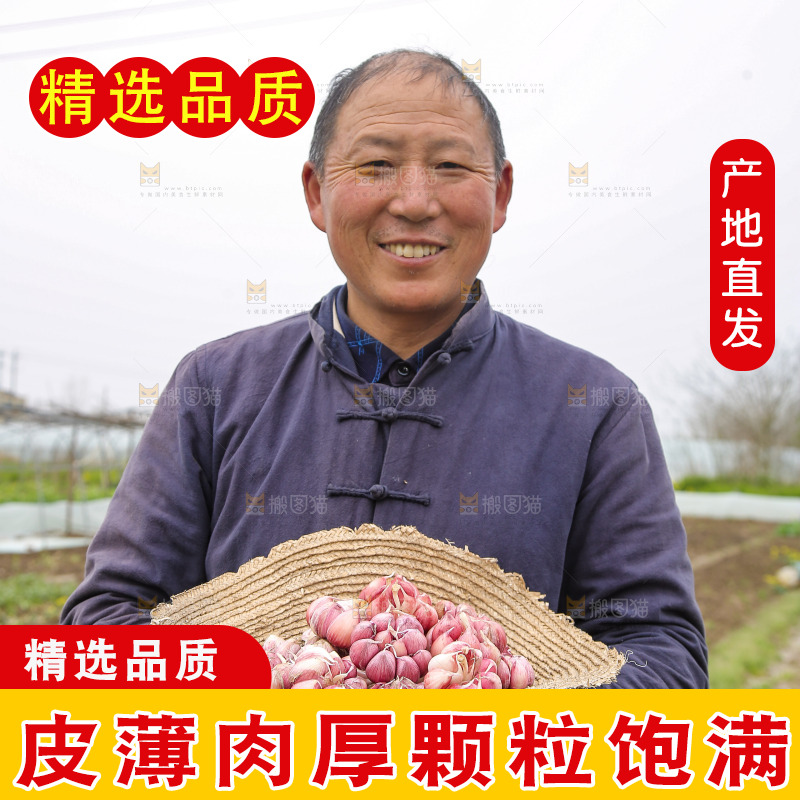 草帽里装着紫皮蒜