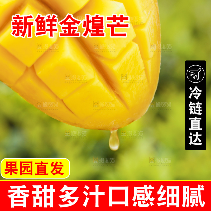 手里拿着切开的海南金煌芒