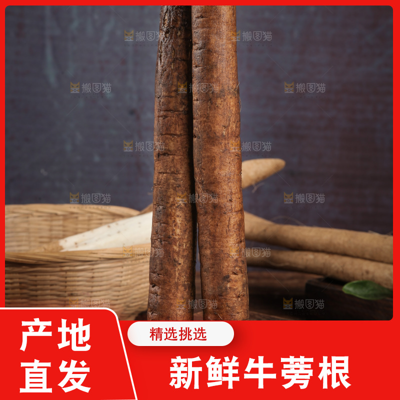 木底上的黄皮牛蒡根