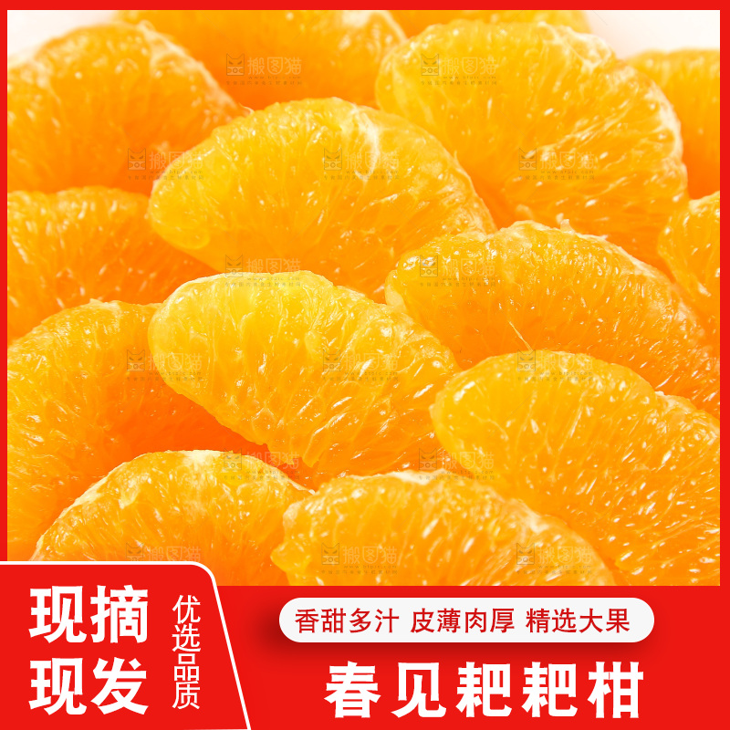 盘子里装着春见耙耙柑果肉
