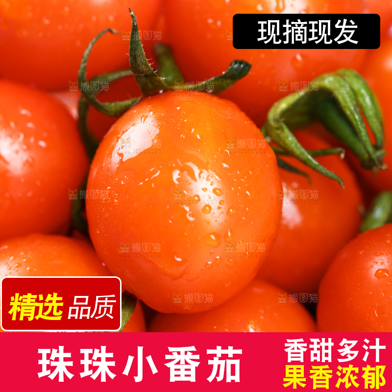 珠珠小番茄纹理