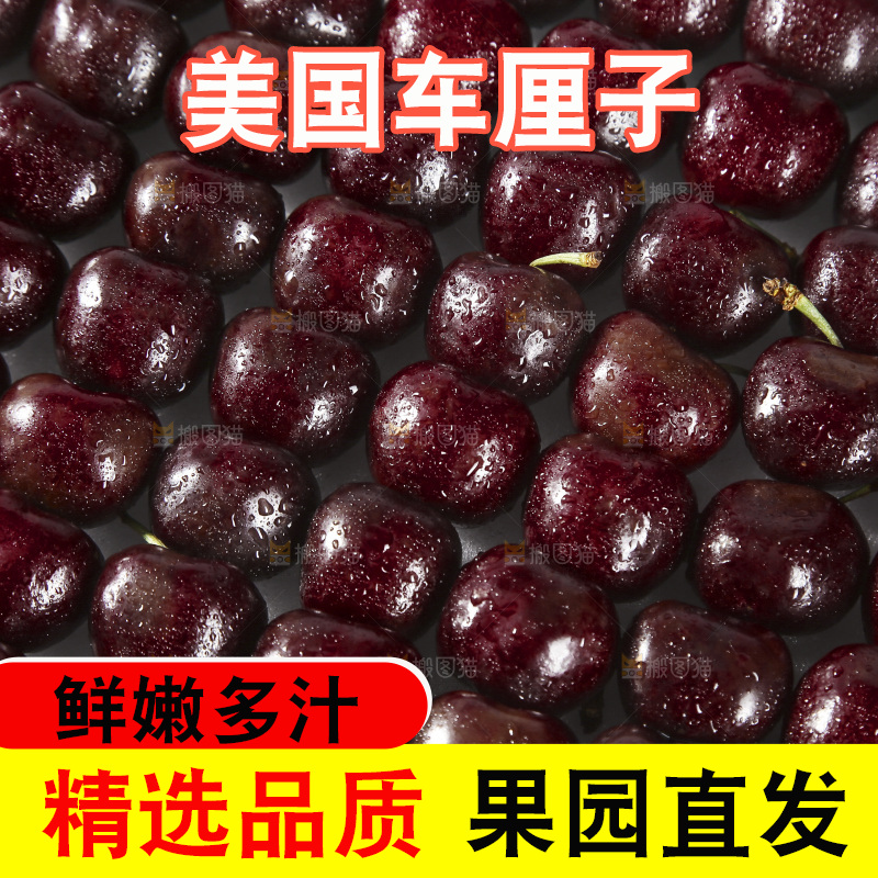 智利车厘子纹理