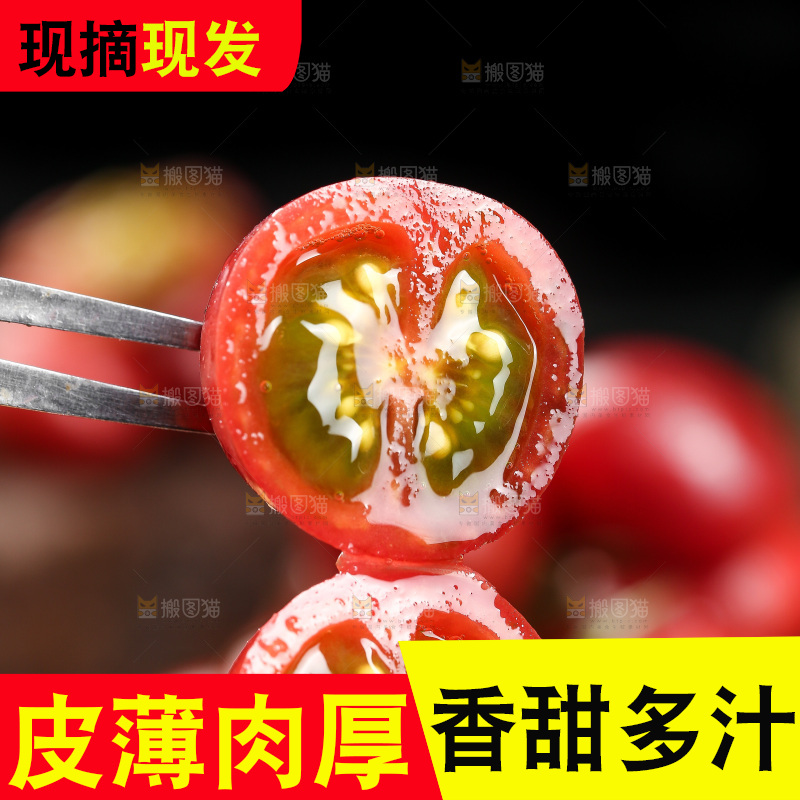 叉子上插着小番茄