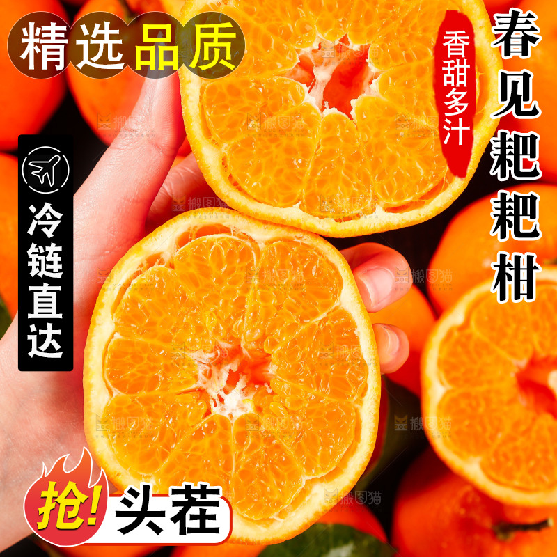手里拿着切开的耙耙柑